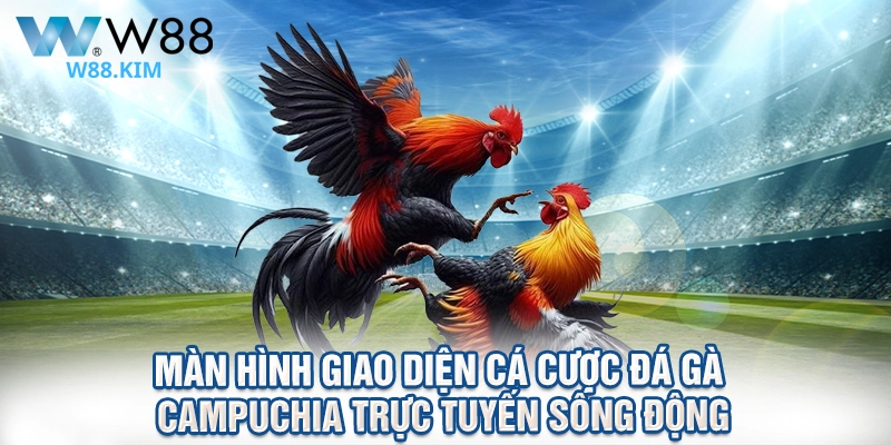 Màn hình giao diện cá cược đá gà campuchia trực tuyến sống động