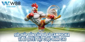 Sức Hấp Dẫn Của Đá Gà Campuchia Và Bí Quyết Đặt Cược Đỉnh Cao